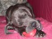 iveta 083.jpg